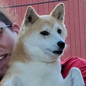 Meet your Posher, Steve